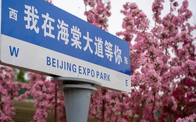 【418】北京世园公园5200余株海棠进入盛花期 （新京报） 内容页.jpeg