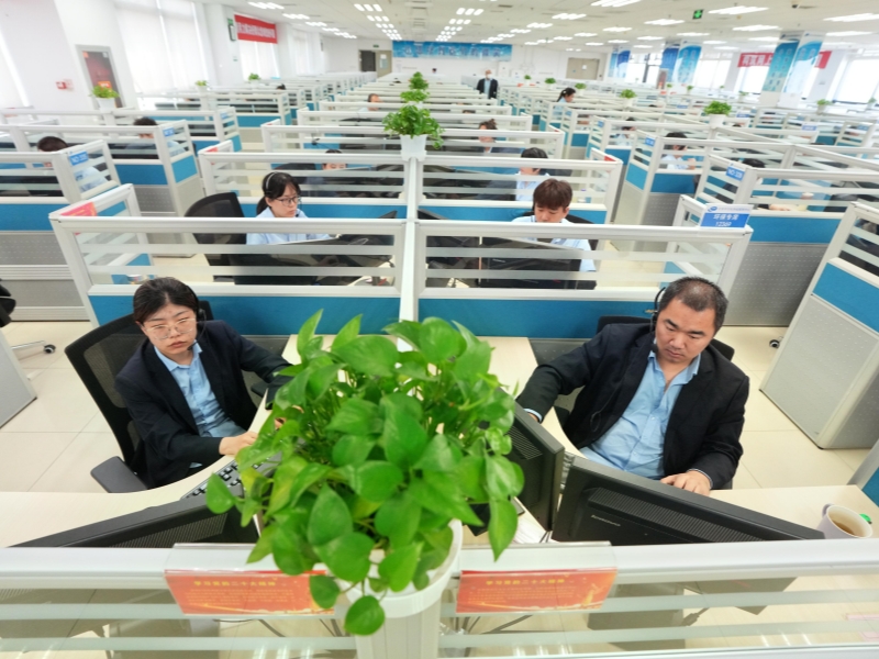 800 内容图.jpg