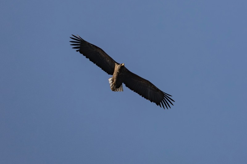 刘彤 摄于西峪水库2.jpg