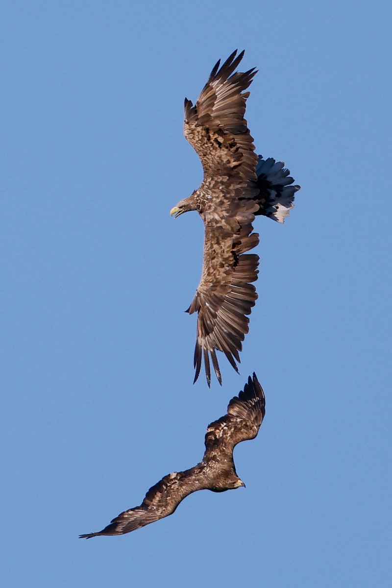 刘彤 摄于西峪水库5.jpg