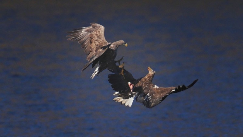 刘彤 摄于西峪水库8.jpg