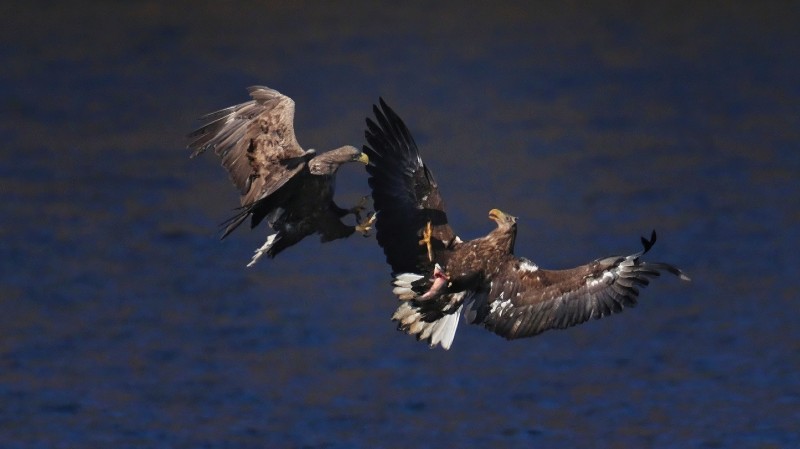 刘彤 摄于西峪水库18.jpg
