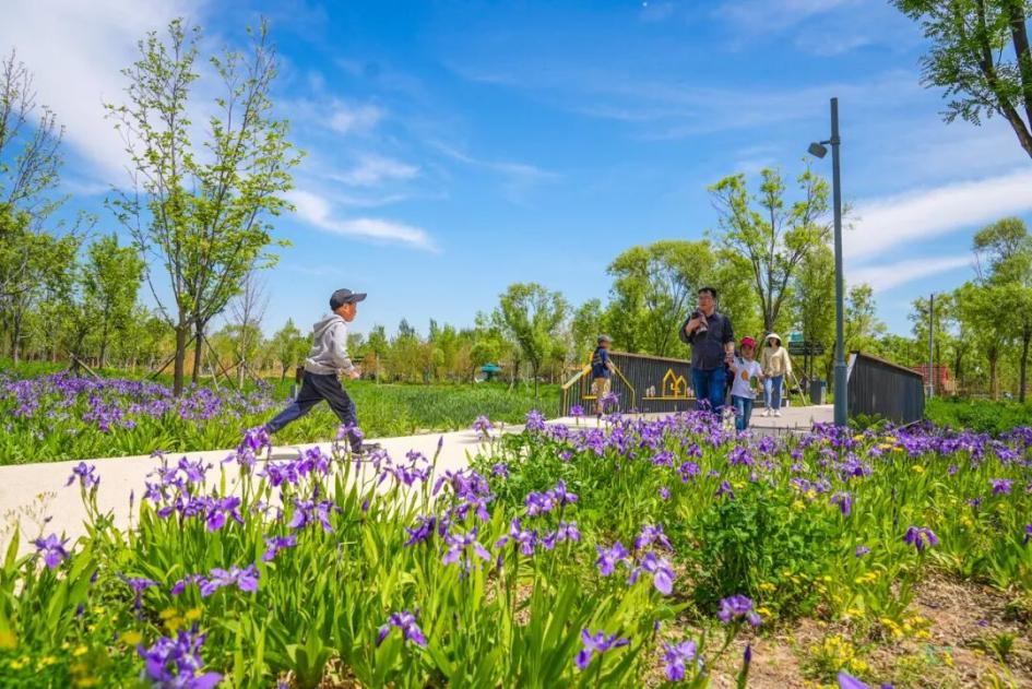 图片 北京日报客户端.png 图片 北京日报客户端.png