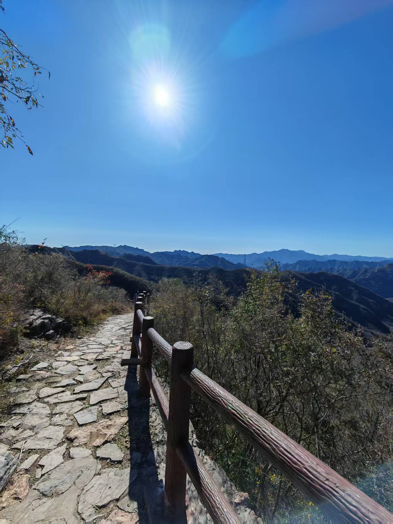 Weixin Image_20251030092553_185_163.jpg Weixin Image_20251030092553_185_163.jpg