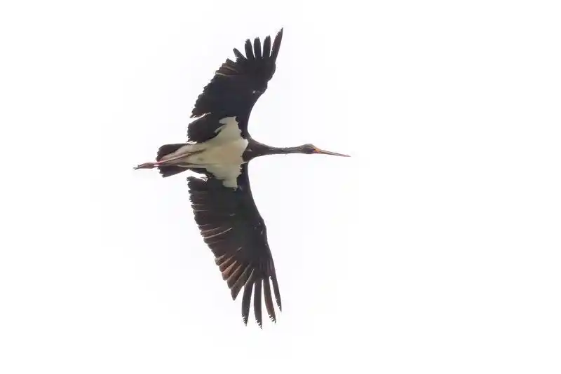 b999a9014c086e0628435aa03e3025e40bd1cb3e.png b999a9014c086e0628435aa03e3025e40bd1cb3e.png