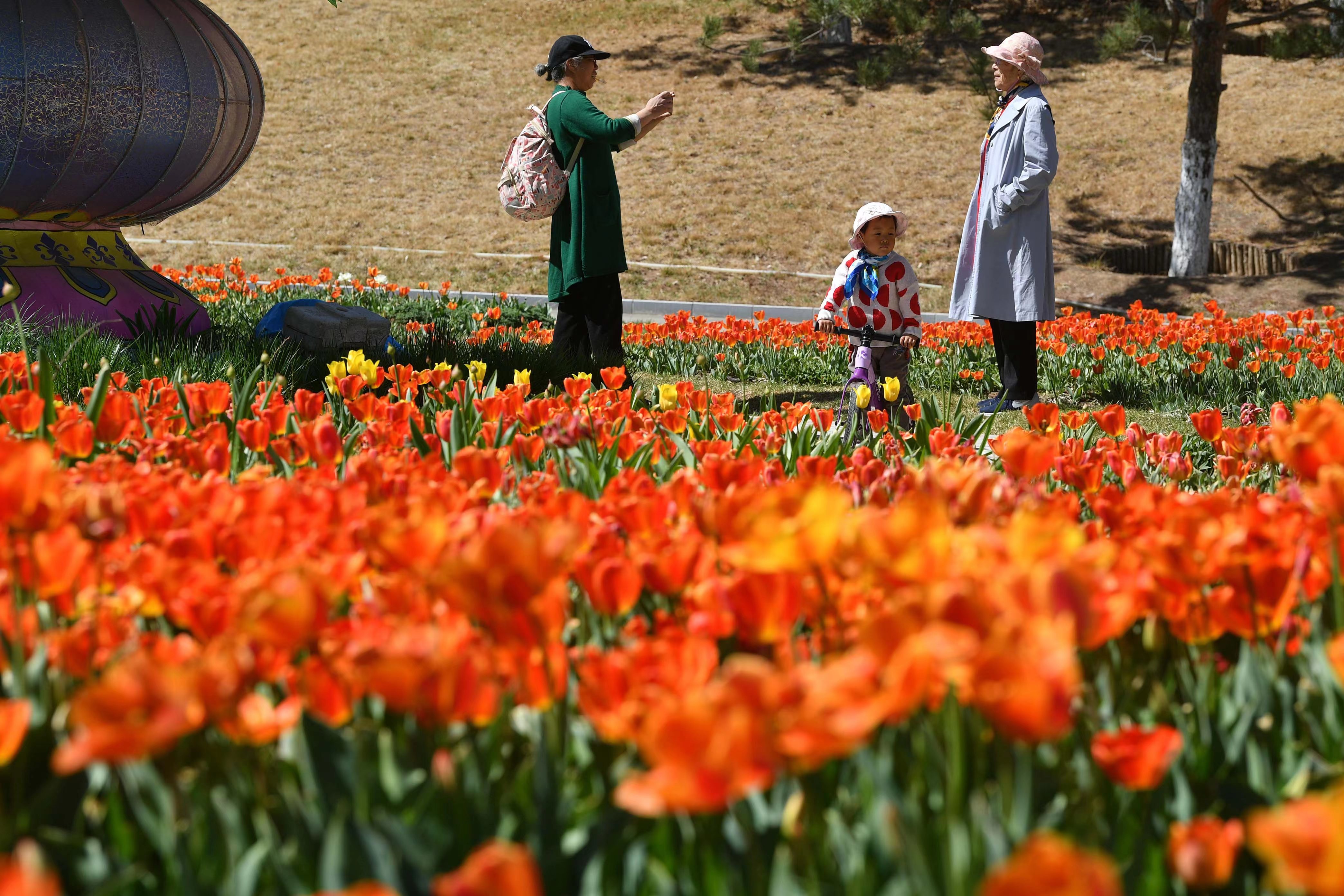 游客打卡 来源新京报.jpg 游客打卡 来源新京报.jpg