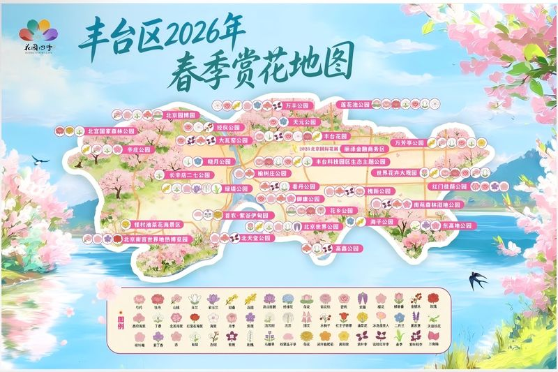 图片1 手动800.png