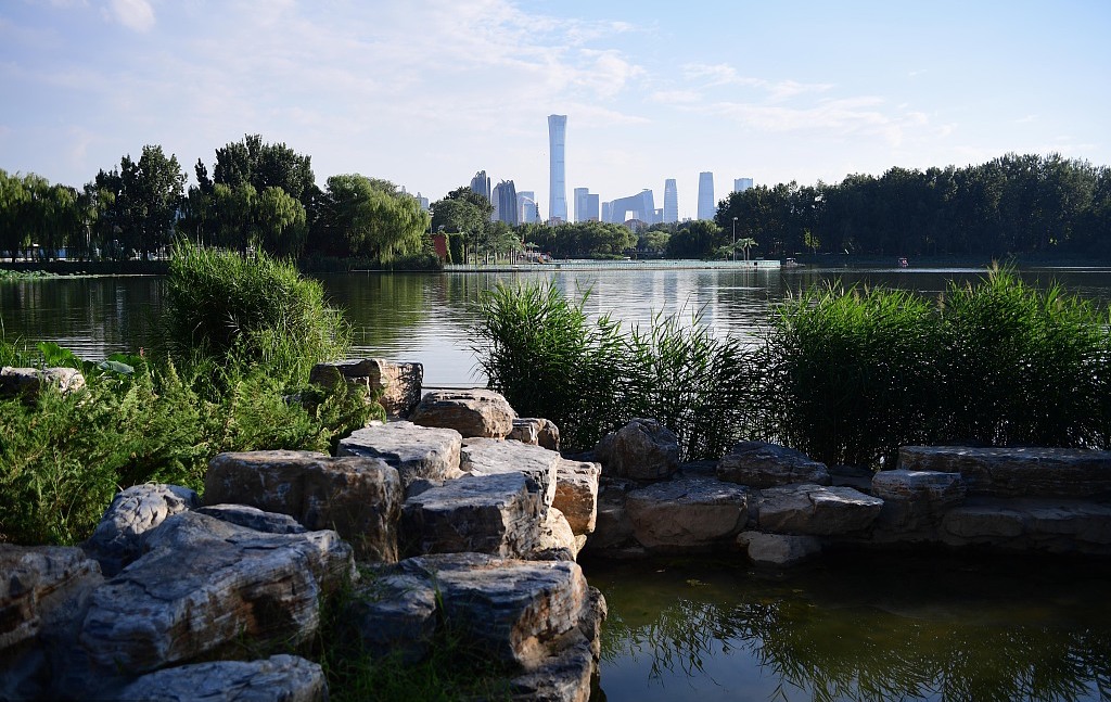 VCG 朝阳公园.jpg