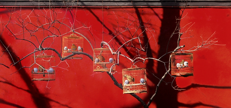 VCG-800(旧图).jpg VCG-800(旧图).jpg