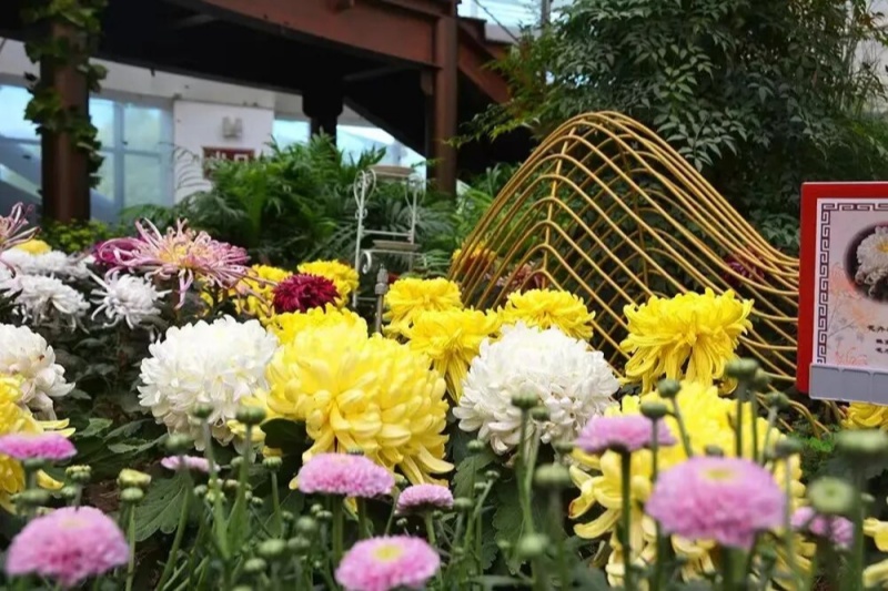 1 来源：北京日报.jpg