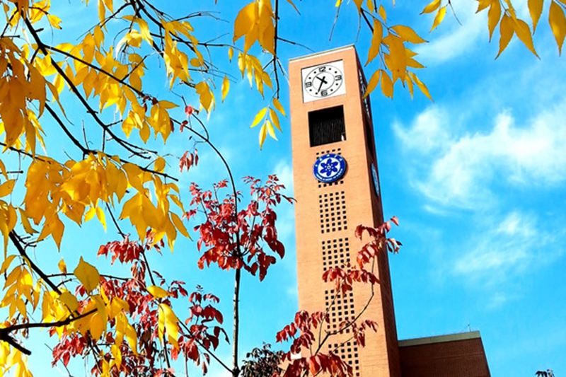 正文800 来源：中国科学院大学.jpg